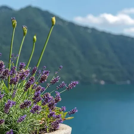 Apartment In Emilia- Amazing View Cernobbio
